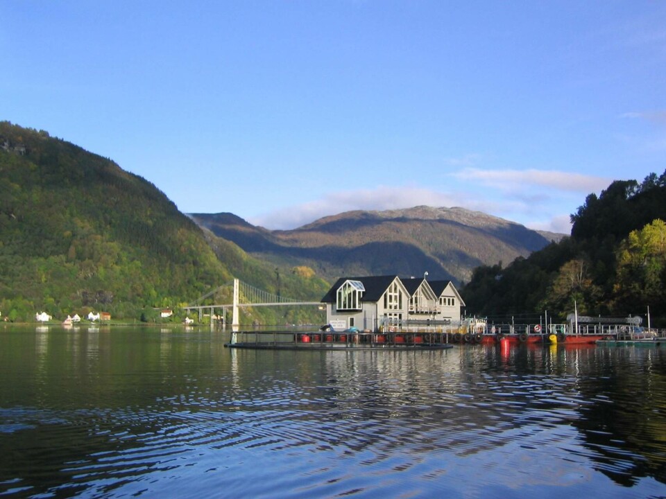 Her fra Lingalaks sin lokalitet på Rossholmen. Illustasjonsfoto: Lingalaks