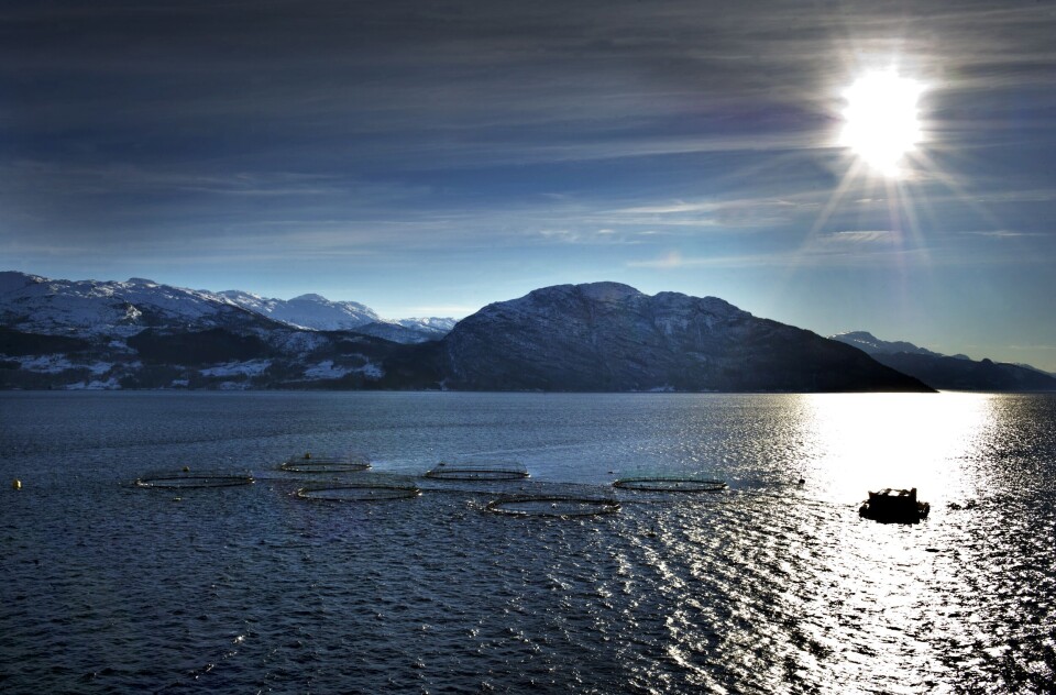 Lingalaks er ett av tre oppdrettsselskaper som har slått seg sammen med Vekstlandet for å løse utfordringer sammen med leverandørindustrien. Foto: Lingalaks. Lingalaks er ett av tre oppdrettsselskaper som har slått seg sammen med Vekstlandet for å løse utfordringer sammen med leverandørindustrien. Foto: Lingalaks.