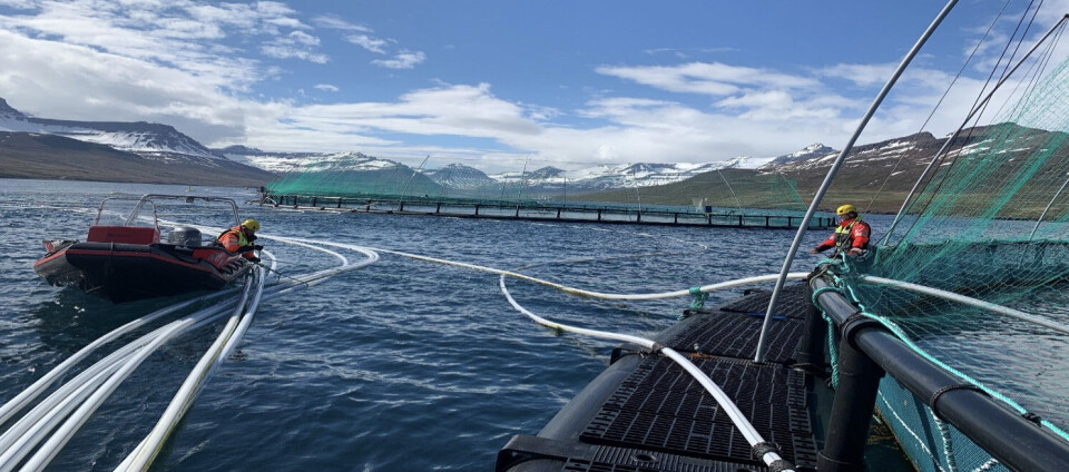 Hovedårsaken til redusert EBIT er lavere salgspriser på kontrakter på grunn av ugunstig utvikling av valutakursen sammenlignet med 1. kvartal 2020. Foto: Ice Fish Farm