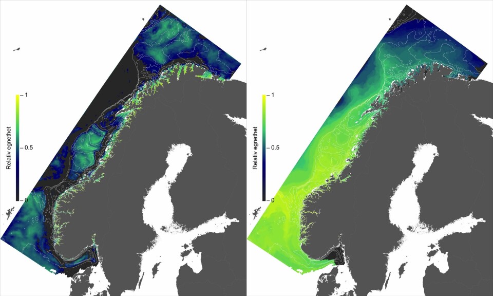 Figurene viser hvor egnet ulike havområder er for oppdrett av laks. I figuren til venstre er det tatt hensyn til strømhastighet. I figuren til høyre er det tatt hensyn til temperatur med tanke på hvordan denne påvirker tåleevne for strømhastighet. Sorte områder er i utgangspunktet uegnet for laks på grunn av for høy strøm, men ulike typer oppdrettsanlegg kan gi skjermingseffekt slik at det likevel kan være mulig med oppdrett også i disse områdene. Hvite linjer viser dybdekontur (100, 200, 300 og 400 meter). Illustrasjon: Havforskningsinstituttet. (Trykk på bildet for en større utgave).