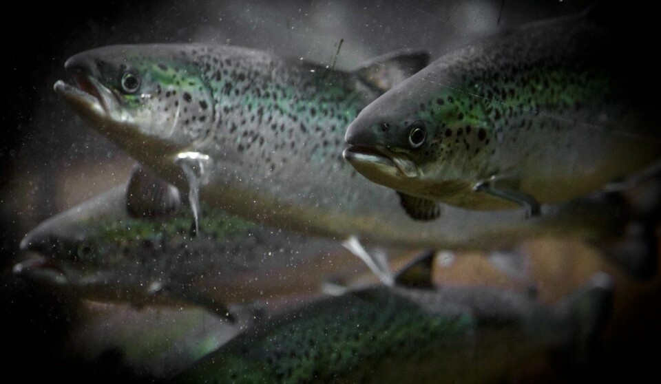 Forskere ved Havforskningsinstituttet har sett på hvilke områder som egner seg for oppdrett til havs. Fotograf: Erlend Astad Lorentzen / Havforskningsinstituttet Forskere ved Havforskningsinstituttet har sett på hvilke områder som egner seg for oppdrett til havs. Fotograf: Erlend Astad Lorentzen / Havforskningsinstituttet