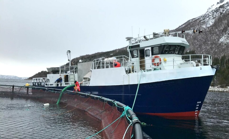 Reflex Shipping har spesialisert seg på transport av rensefisk. Foto: Reflex Shipping