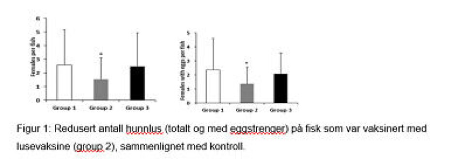 Lovende resultater for lusevaksine testet i labskala