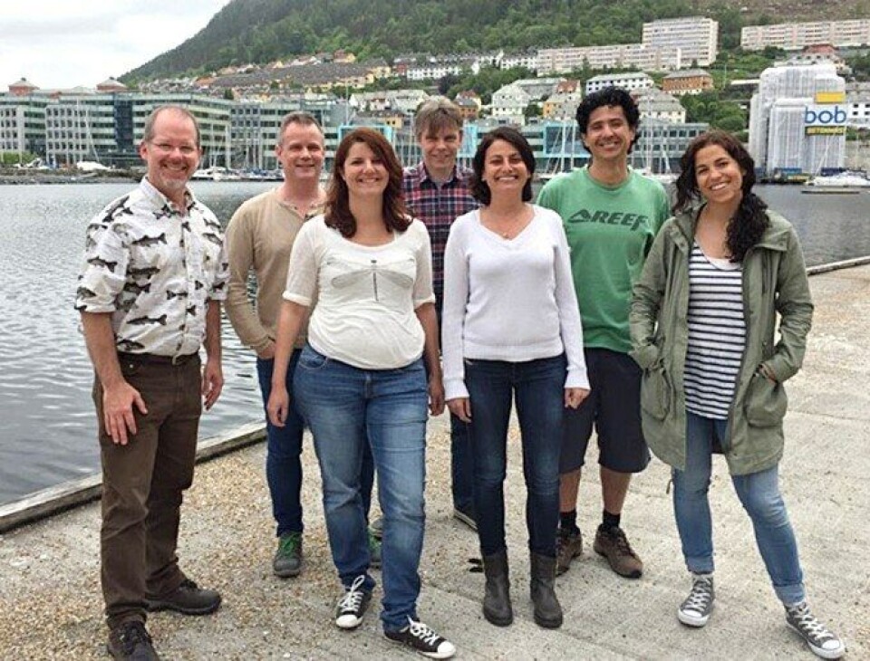 Forskergruppen integrert havbruksbiologi i Uni Research. De fleste av disse forskerne er med i SFI-en. Fra venstre Lars Ebbesson, Tom Ole Nilsen, Elsa Denker, Sigurd Handeland, Valentina Tronci, Marco Vindas, Cindy Pedrosa, Ikke til stede da bildet ble tatt: Pablo Balseiro, og Simon Mackenzie, Victoria Braithwaite og Hans Hofmann. Foto: Sara Calabrese.