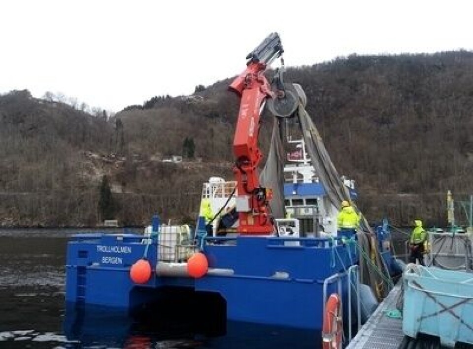 Berglund lover tre nye arbeidsplasser. Foto: DG Marine
