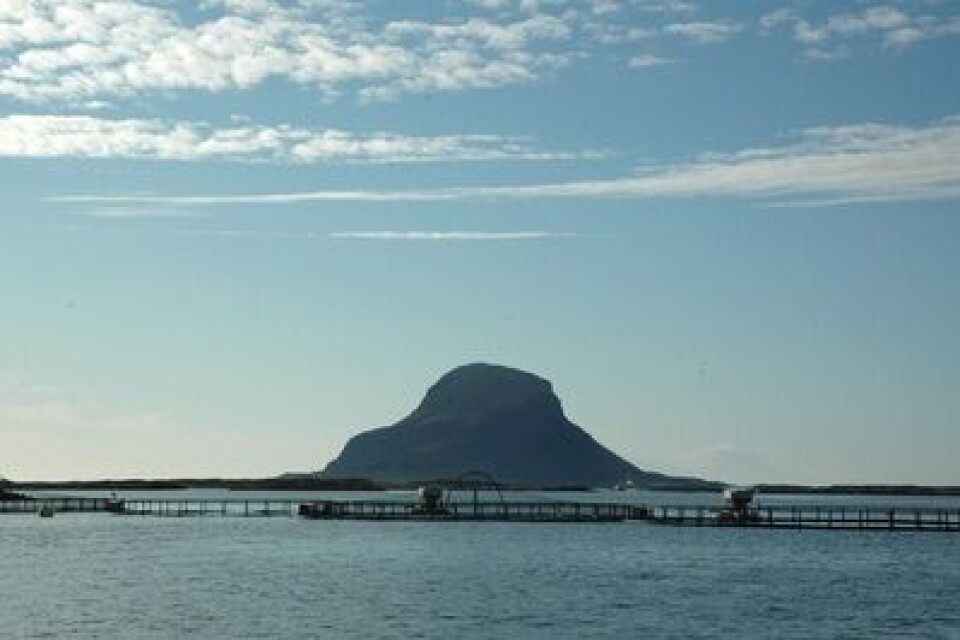 Lovund pluss laks er sant