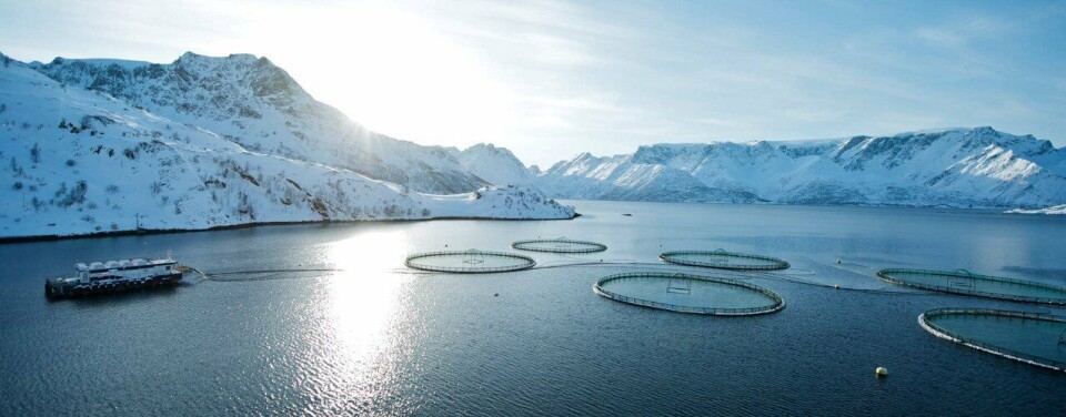 Illustrasjonsfoto: Norges Sjømatråd