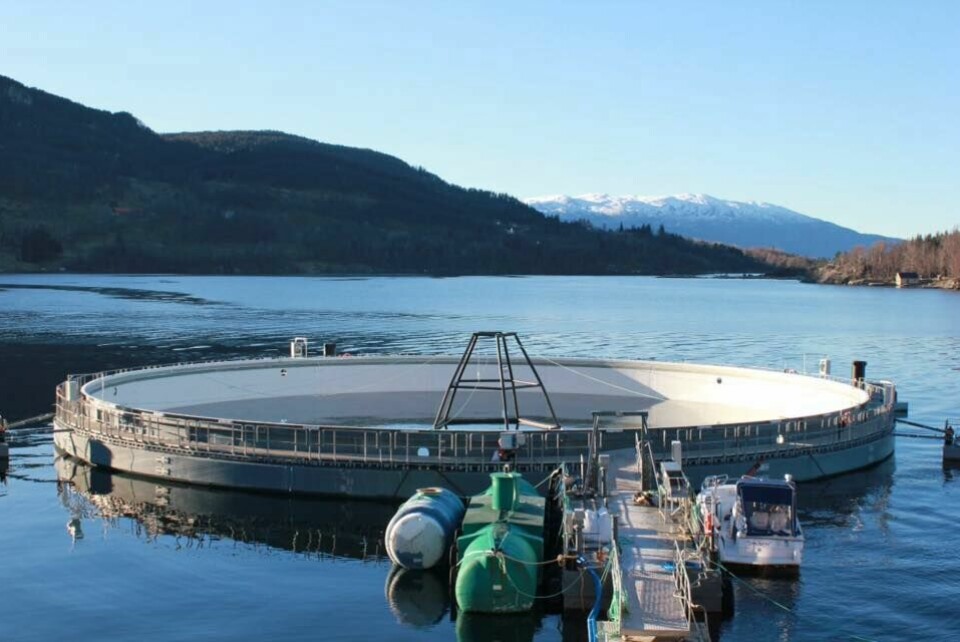 Neptun 3 versjonen ligger i Skånevik, hvor Marine Harvest har testproduksjon. Foto: Aquafarm Equipments.