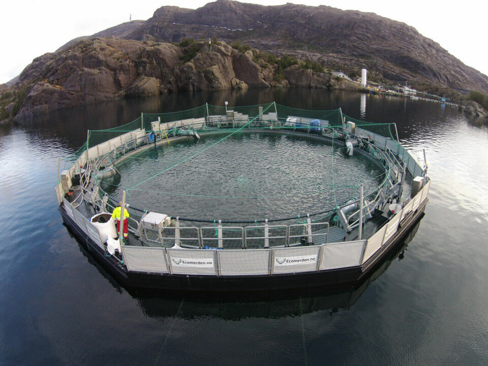 Slik ser Ecomerden til Sulefisk ut, som om berre nokre veker skal få sitt fjerde utsett med fisk. Foto: Sulefisk.