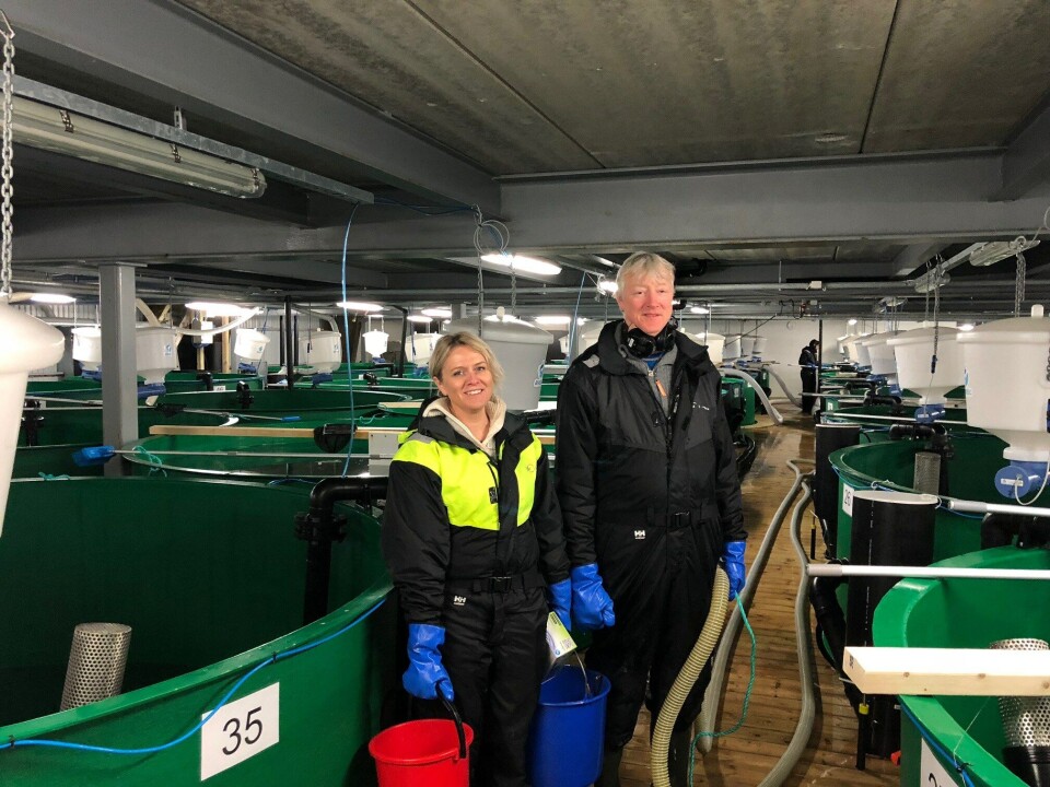 Driftsleder Kari Anne Sætherbø og avdelingsleder for påvekst Geir Hafsås ved Lumarines rognkjeksanlegg. Foto: Lumarine AS.
