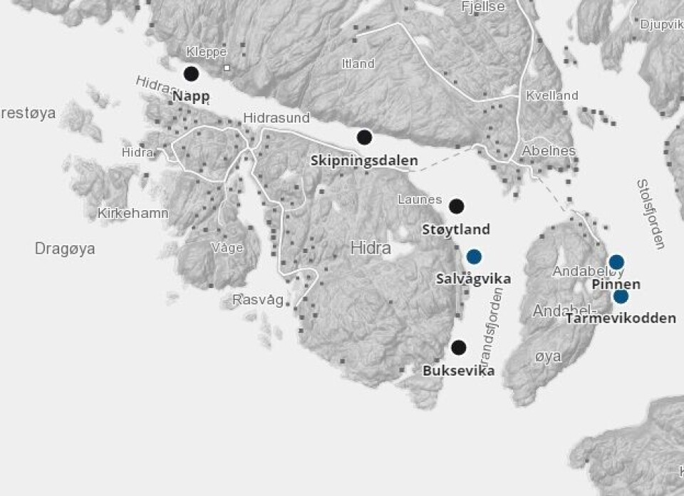 Alle lokalitetene unntatt en har gjennomført medikamentell behandling mot lakselus de siste seks uker. Kart: Barentswatch.