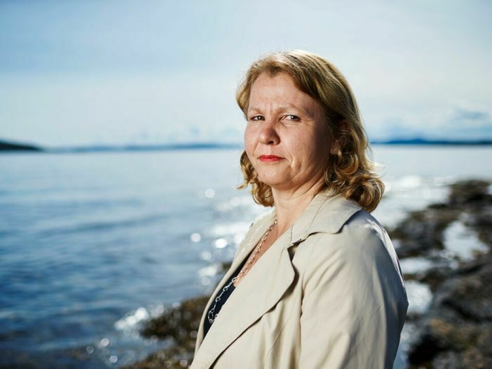 Elisabeth Wilmann, direktør avdeling fisk og sjømat i Mattilsynet, mener mange vil gå over til automatisk lusetelling.  Foto: Mattilsynet