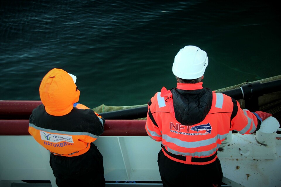 Illustrasjonsbilde av lærling/utplasseringselev om bord i Norsk Fisketransport AS. Foto: NFT/PKOM.