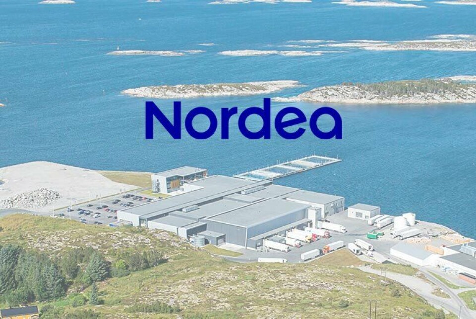 Ifølge Nordea hadde SalMar et kostnadsnivå på 37-38 kroner per kilo i førstekvartal, som de anslår at ligger 5 kroner under dagens bransjesnitt i Norge. Originalfoto: SalMar