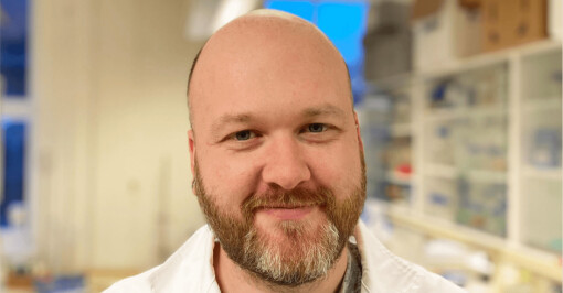 Norske forskere baner vei: Stopper sykdomsutbrudd med bakteriofager