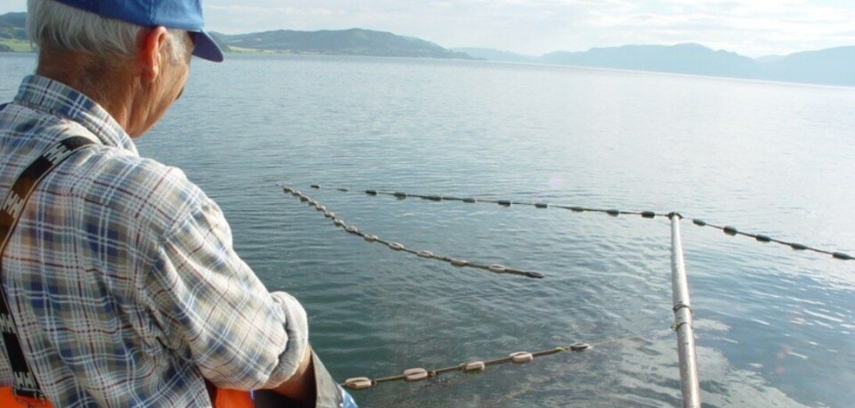 - Det er sportsfiskere og grunneiere som bidrar til at elvene produserer nok fisk gjennom kultiveringstiltak og begrenset fiske. Sjølaksefiskerne på sin side bare høster, påpeker Norske Lakseelver (NLA). Det mener de sjølaksefiskerne gjør for mye av.. Illustrasjonsfoto av kilenotfisker i Trondheimsfjorden. Foto: Kristian B. Rian, Miljødirektoratet.