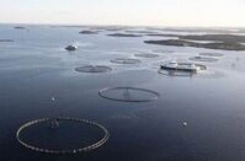 12 prosent av den norske kystlinjen er tildekket. Foto: Marine Harvest