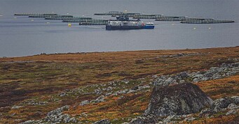 Ønsker norsk-russisk avtale om havbruk