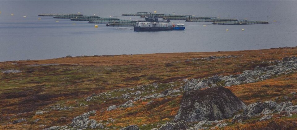 Foto: Finnmark Fylkeskommune