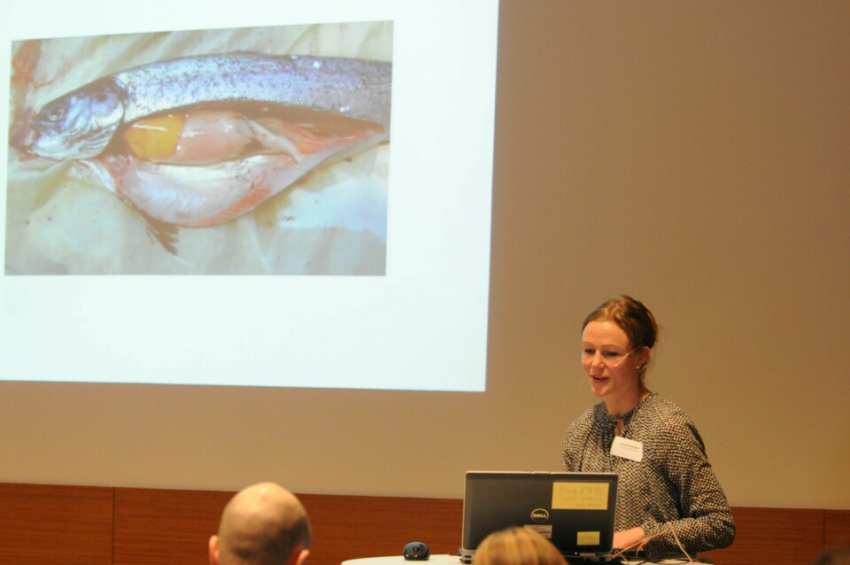 Veterinær Harriet Romstad fra Aqua Kompetanse under avlusingsseminar på Værnes. Foto: Pål Mugaas Jensen.