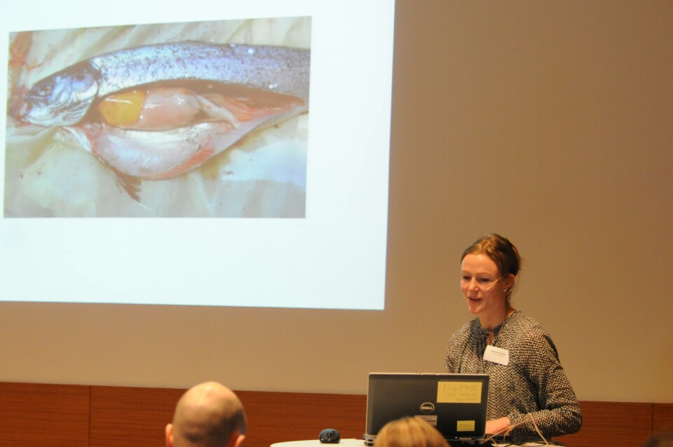 Veterinær Harriet Romstad fra Aqua Kompetanse under avlusingsseminar på Værnes. Foto: Pål Mugaas Jensen. Veterinær Harriet Romstad fra Aqua Kompetanse under avlusingsseminar på Værnes. Foto: Pål Mugaas Jensen.