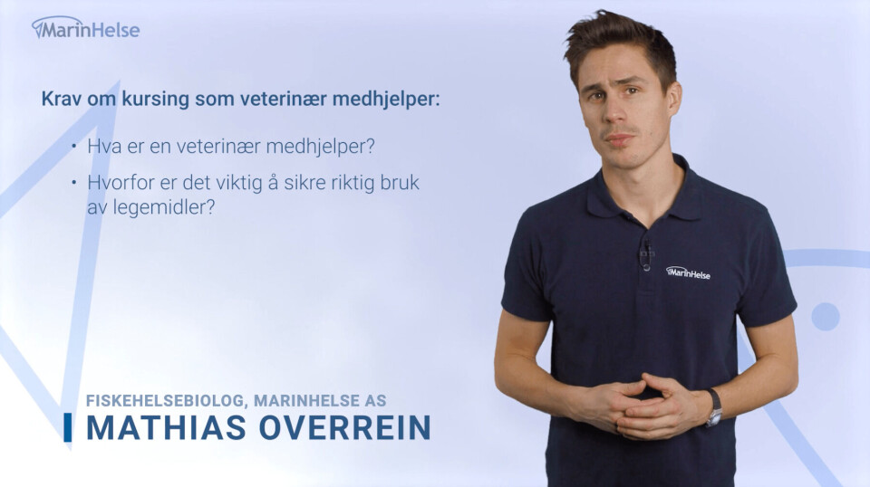 Skjermdump av et av nettkursene, der fiskehelsebiolog Mathias Overrein går gjennom de ulike punktene steg for steg. Klikk for større bilde.