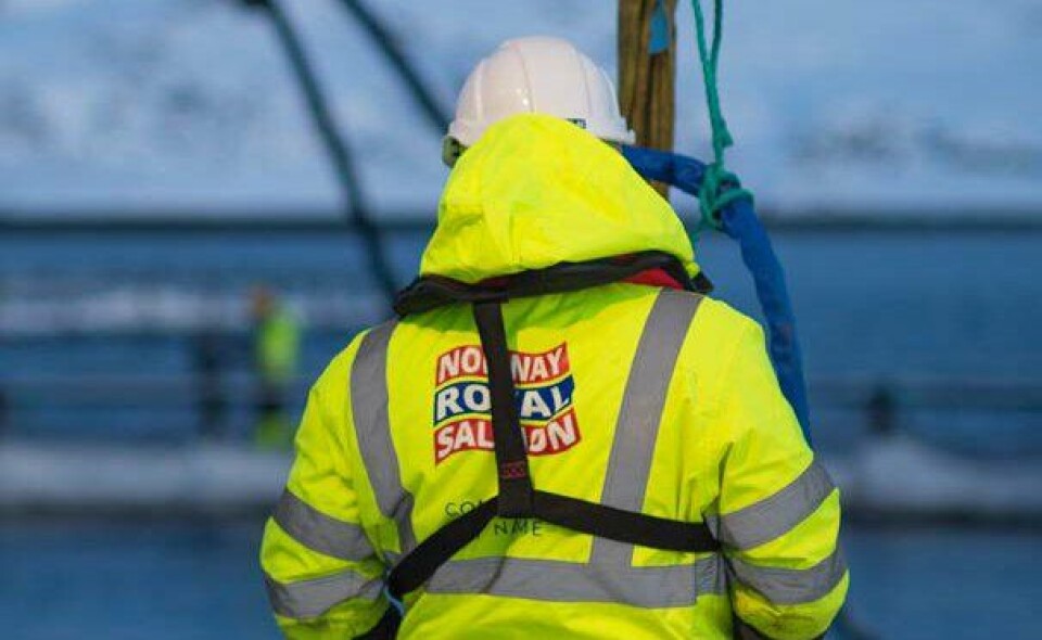 NRS hadde både volumrekord og fikk tildelt mer kapasitet i 2018. Foto. Frank Rune Isaksen/NRS. NRS hadde både volumrekord og fikk tildelt mer kapasitet i 2018. Foto. Frank Rune Isaksen/NRS.