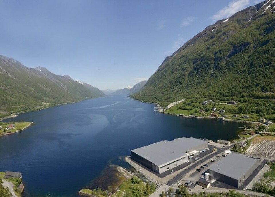 Marine Harvest sitt nye settefiskanlegg i Steinsvik. Foto: Marine Harvest.