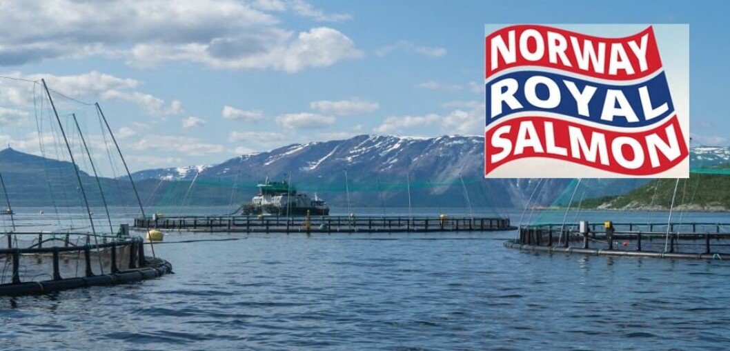 NTS fikk tirsdag ervervet 101.478 aksjer i Norway Royal Salmon.  Foto: NRS