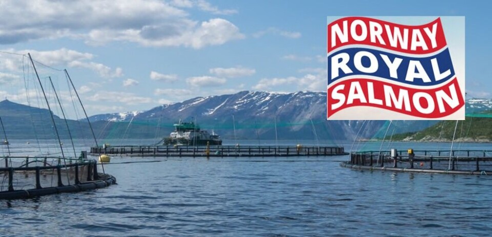 Marginene til NRS i dette kvartalet er preget av pandemien, men et lyspunkt er at produksjonskostnaden er redusert noe fra forrige kvartal. Foto: NRS