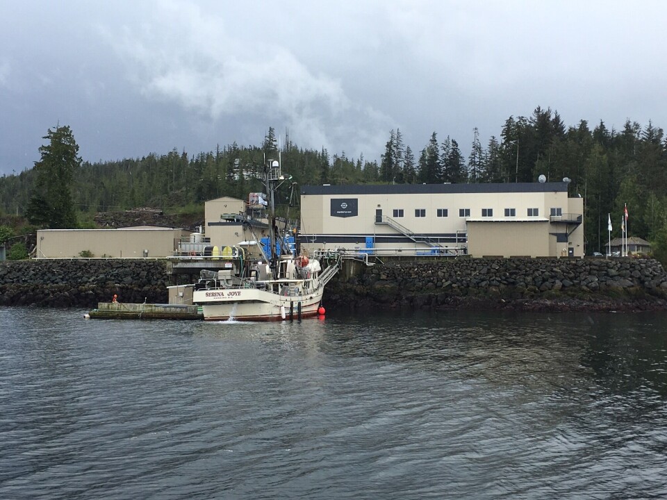 Marine Harvest sitt anlegg i Port Hardy, Canada.