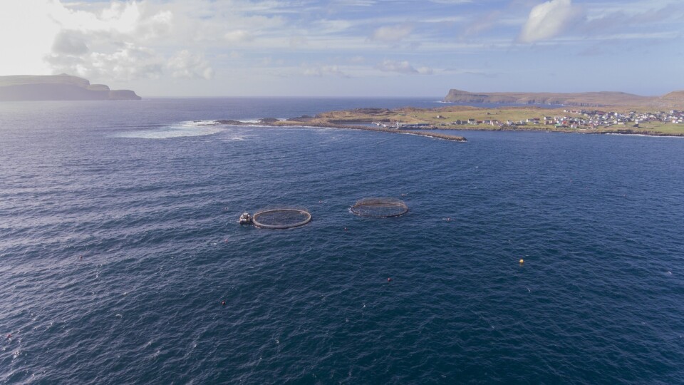 Dronefoto over lokaliteten Sandsvág på Færøyene. Foto: Marine Harvest Færøyene.