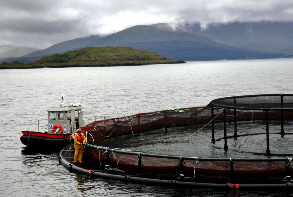 Marine Harvest-anlegg i Skottland. Foto: Pål Mugaas Jensen