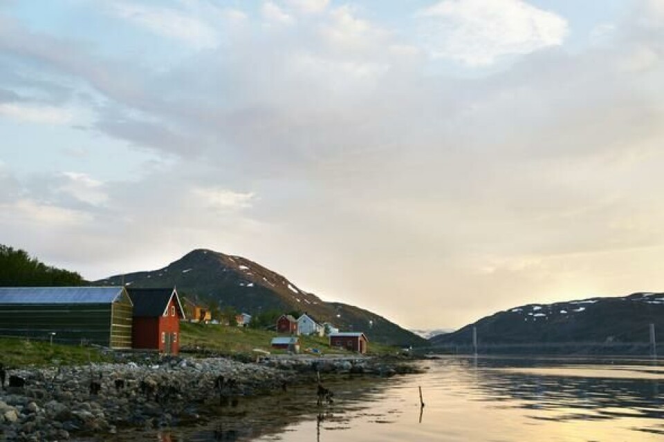 Repparfjorden, natur