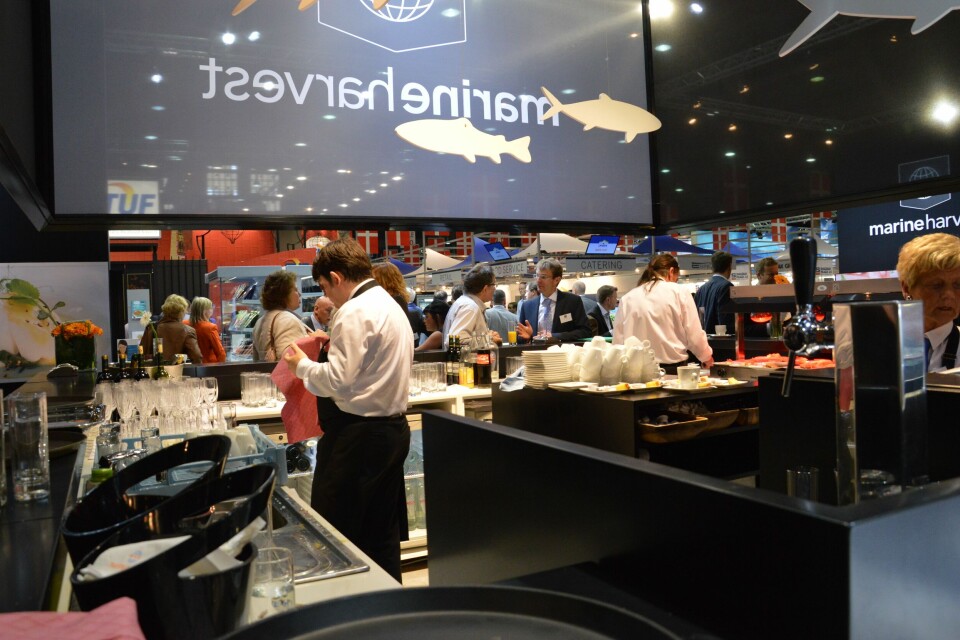Marine Harvest, Brussel