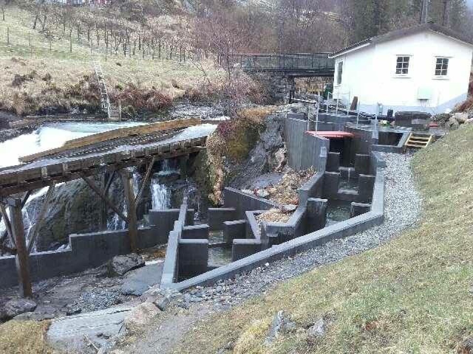 Bekymringsmeldingen fra NSL dreier seg blant annet om forskning utført i Guddalselven. Foto: Tore Furdal.