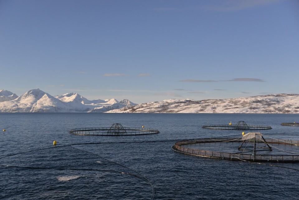 Illustrasjonsfoto: Oppdrettsanlegg i Troms.