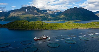 NTS kjøper mer i Norway Royal Salmon