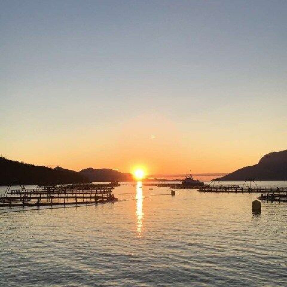 Marine Harvest sone lokaliteter Istervika og Slåttvika som er ASC-godkjent. Foto: Marine Harvest.