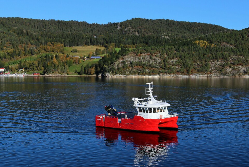 Fartøyet «Nordbjørn» er Marine Harvest første Moen-båt. Foto: Moen Marin.