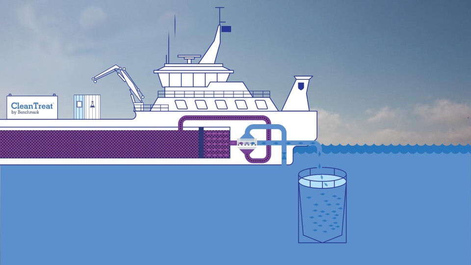 Det ble for første gang på mange år i 2021 tatt i bruk et nytt legemiddel mot lakselus. Imidakloprid brukes i det lukkete CleanTreat-systemet. Illustrasjon: Benchmark