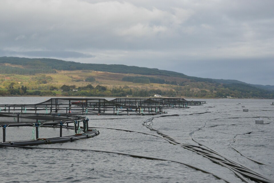 Dette anlegget til Scottish Salmon Companys like ved Stirling og flere andre kommer nå på færøyske hender. Foto: Øyvind Sjøthun Røen.
