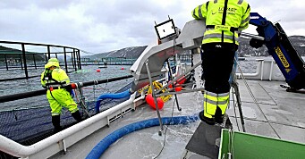 Pangstart for Molde-rederi