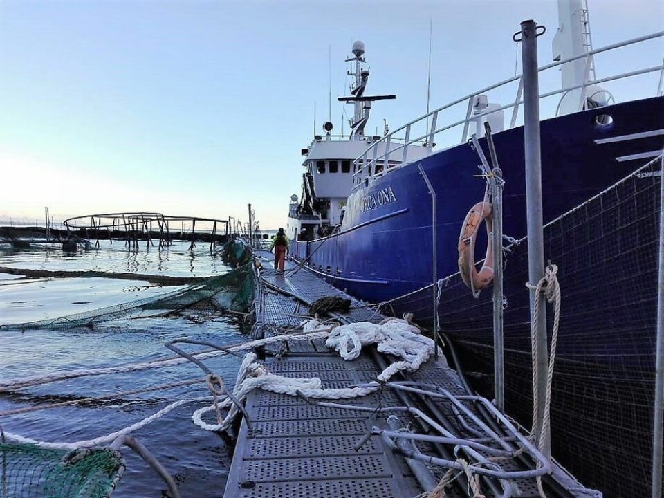 Marine Harvest har den siste måneden hatt flere uheldige episoder, som kan være med å svekke omdømmet til oppdrettsgiganten. Foto: Marine Harvest.