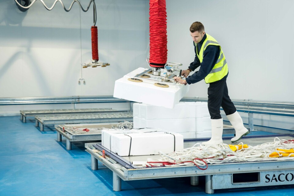 Arbeider på flyfraktterminal. Illustrasjonsfoto: DB Shencker.