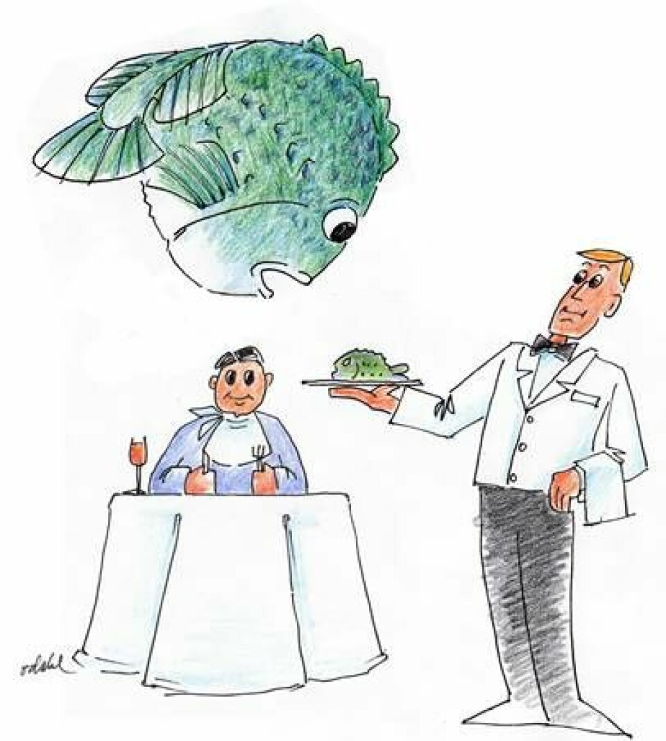 - Rognkjeksen er også en fiskesort som bør utnyttes til mat, siden vi trenger den til å produsere laks, mener Nofima-forsker. Tegning: Oddvar Dahl.