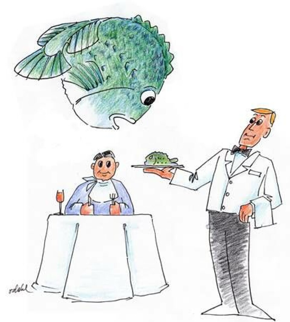 - Rognkjeksen er også en fiskesort som bør utnyttes til mat, siden vi trenger den til å produsere laks, mener Nofima-forsker. Tegning: Oddvar Dahl. - Rognkjeksen er også en fiskesort som bør utnyttes til mat, siden vi trenger den til å produsere laks, mener Nofima-forsker. Tegning: Oddvar Dahl.