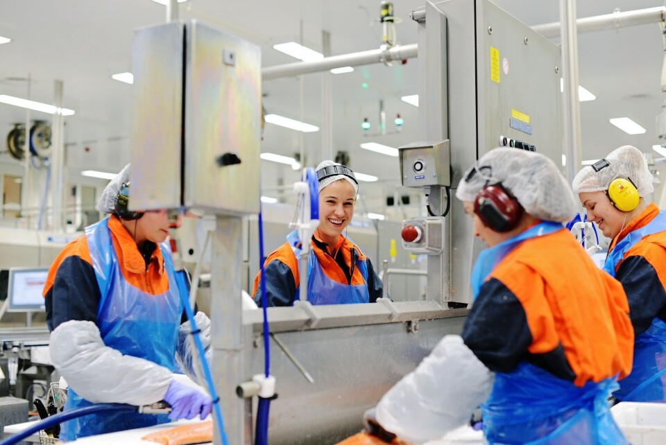 Fiskeindustriarbeiderne fær økt minstelønn. Foto: NNN.