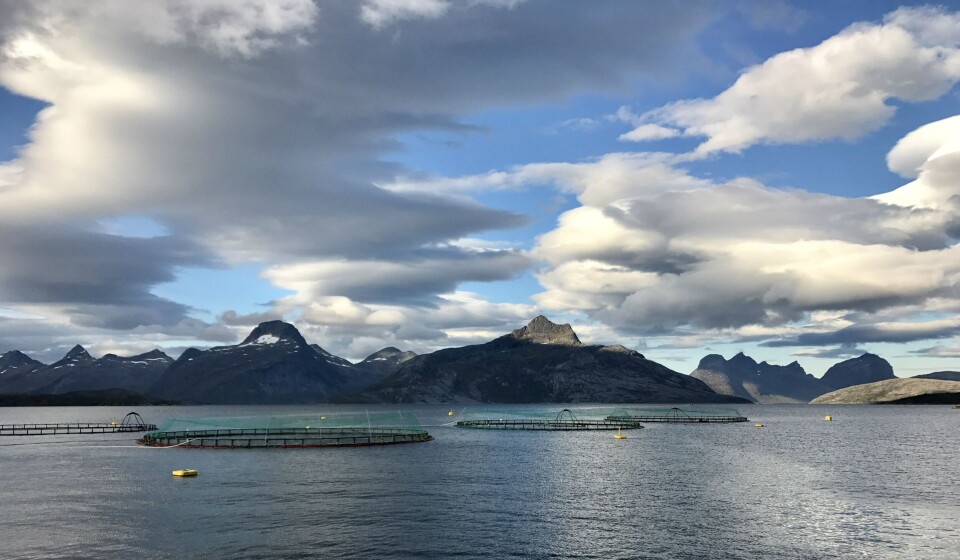 Bilde av anlegget Matvika i Sørfold kommune. Foto: Marine Harvest.
