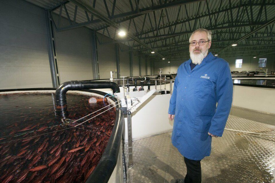 Her ser du fisken svømmer i de nye store karene på anlegget, og driftsleder Geir-Inge Hosteland ser over at alt er som det skal. Klikk for større bilde. Foto: Pål Mugaas Jensen/Kyst.no.
